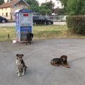 Recikliranjem nahrani životinje – poruka na prvom reciklomatu u Kraljevu