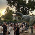 Spektakl u srcu Žablja Dino ludilo zavladalo parkom – vatromet, dinosaurusi i nezaboravna atmosfera