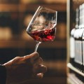 Ovo su najbolja vina i vinarije Srbije za 2025. godinu