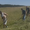 Najbolji kosači zlatiborskog kraja odmerili snage na sedmoj Etno kosidbi u Šljivovici