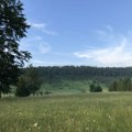 Planina Jelica novo zaštićeno područje