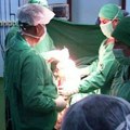 Lončar: Transplatacija organa o trošku države ubuduće u Belorusiji