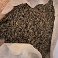 MUP: Zaplenjeno 200 kilograma marihuane kod Loznice, sumnja se da ima i više