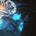Naučnici osmislili jednostavan test krvi koji otkriva tumor mozga: Tačnost iznad 90 odsto