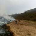 Ugašen požar na Fruškoj gori, vatra gorela skoro 20 sati