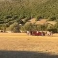 Haos kod Bileće! Autom gazio ljude po livadi: Padali ko pokošeni, troje povređeno (video)