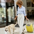 Rimski aerodrom otvorio luksuzan hotel za pse Ljubimci uživaju u spa tretmanima, muzici i poslasticama