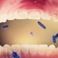 Oralni mikrobiom - skriveni svet u ustima: čuvar našeg zdravlja koji u neravnoteži postaje pretnja po čitav organizam