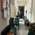 Srbijašume odgovaraju na navode o uništavanju dokumentacije: reč je o arhiviranju