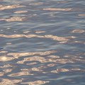 Komandir ronilačkog voda: Dečaci koji su se utopili na Adi skakali s pontona, dole je duboka trava
