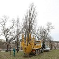 Železnički park dobija sadnice iz starog rasadnika na Futoškom putu