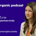 Prva plantaža kivija u Srbiji: Betina otkriva otkud ova voćka kod nas, koju ni opštinari nisu znali da registruju (video)
