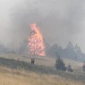 Važno upozorenje MUP-a: U jednom danu buknulo 220 požara širom Srbije, poginulo 5 osoba