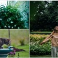 Možda da u nedelju ostanete kod kuće? Stiže promena vremena, pali se meteolarm Evo kakvo nas vreme očekuje naredne sedmice