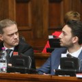 Stefanović i Grbović: Poseta evroparlamentaraca razotkriva nervozu vlasti i pokazuje da Vučić više nije jedini sagovornik…