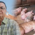 Da li je virus afričke kuge svinja opasan za ljude i šta se dešava ako pojedemo zaraženo meso?