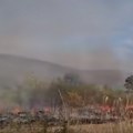 Veliki požar kod Bojnika prišao na 50 metara od kuća: Vatrogasci i meštani u borbi za odbranu sela (video)