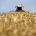 Rusija izvozi 30 odsto svetske pšenice kojom se trguje