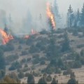 Šumski požar u selu Babine - površinu od 100 hektara gase vatrogasci iz Prijepolja i Užica