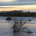 Dunav prešao granicu, a nastaviće još da raste; U ovim delovima grada se očekuju poplave