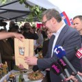 Vučić pozvao Zaječarce da 8. juna izađu na izbore i glasaju za ozbiljne ljude