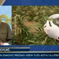 Pregledanjem TV emisija dodatno se odugovlači postupak koji Vladimir Đukanović vodi protiv novinara Vuka Cvijića