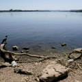 Istorijski niski vodostaj Dunava – ugroženo funkcionisanje sistema Dunav–Tisa–Dunav