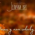 Drugo izdanje “Ateničke jeseni“ u “Jeličkom vrtu“ od 18. do 24. oktobra: Sedam večeri muzike uživo