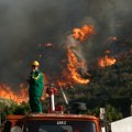 Apokalipsa u Grčkoj Nastavlja se borba sa požarima, izgorelo na hiljade hektara šume (foto)