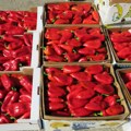 Šta se više isplati – gotov ajvar ili paprika? Domaćice u dilemi, evo šta nam kažu prodavci