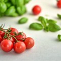 Nezabeleženo: Čeri paradajz jeftiniji od običnog