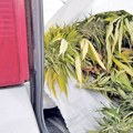 Uhapšeno 11 dilera zbog 200 kilograma droge