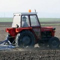 Stručnjaci upozoravaju na zamke U setvi pšenice Kad se seje seme s tavana, žanju se problemi