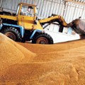 Srbija štiti tržište, ne uvozimo žitarice iz Ukrajine