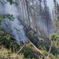 Jak vetar desetkovao šumu u Nacionalnom parku Tara: Stradali planinski četinari na preko 1.000 hektara