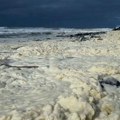 Mrtve ribe i čudna pena na plažama Australije: Surferi se žale na trovanje, a naučnici traže odgovore