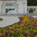 U Niškoj Banji oslikan mural s likom ubijenog učenika