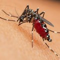 Druga žrtva groznice Zapadnog Nila u Severnoj Makedoniji: Preminuo muškarac iz Skoplja