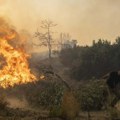 Požari u Grčkoj: 18 tela pronađeno u šumi