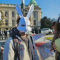 Grupa „Sviće“ izvela performans ispred Ustavnog suda i opet donela kupus: Pogazi Ustav, ako smeš