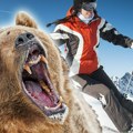 Медвед напао скијашицу на Шар планини: Кретала се ван стазе, сумња се да је због овога ујео за ногу