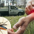 U Beogradu danas jedna od najopsežnijih akcija suzbijanja komaraca