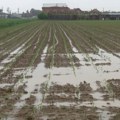 Kakvo je stanje na poljima u šabačkom kraju, posle obilnih padavina