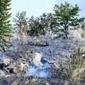 Planulo rastinje i divlja deponija: Izbio požar pored Batajničkog druma, vatra gašena nekoliko sati