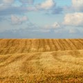 Poljoprivrednici kažu da jedva preživljavaju - ko onda kupuje poljoprivredno zemljište?