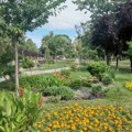 Kragujevac: Vremenska prognoza za narednu sedmicu (od 13. do 19. jula)