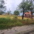 Nevreme u Arilju i Novoj Varoši - drvo preprečilo magistralni put