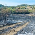 Požar u selu Vidova kod Čačka; Vatrogasci spasli selo Osmakovo na padinama Stare planine