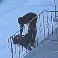 Baku napao na ulazu u crkvu Svetog Dimitrija i opljačkao: Ženi se lekari bore za život, kamere snimile lopova
