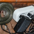 Invazija zmija u Srbiji, ima poskoka i šarki Ulaze u domove i bankomate - stručnjaci upozoravaju šta nikako ne treba raditi